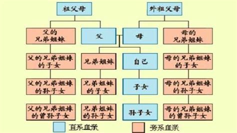 外孫算直系嗎|哪些人屬於直系血親？哪些人是旁系血親？如何計算親。